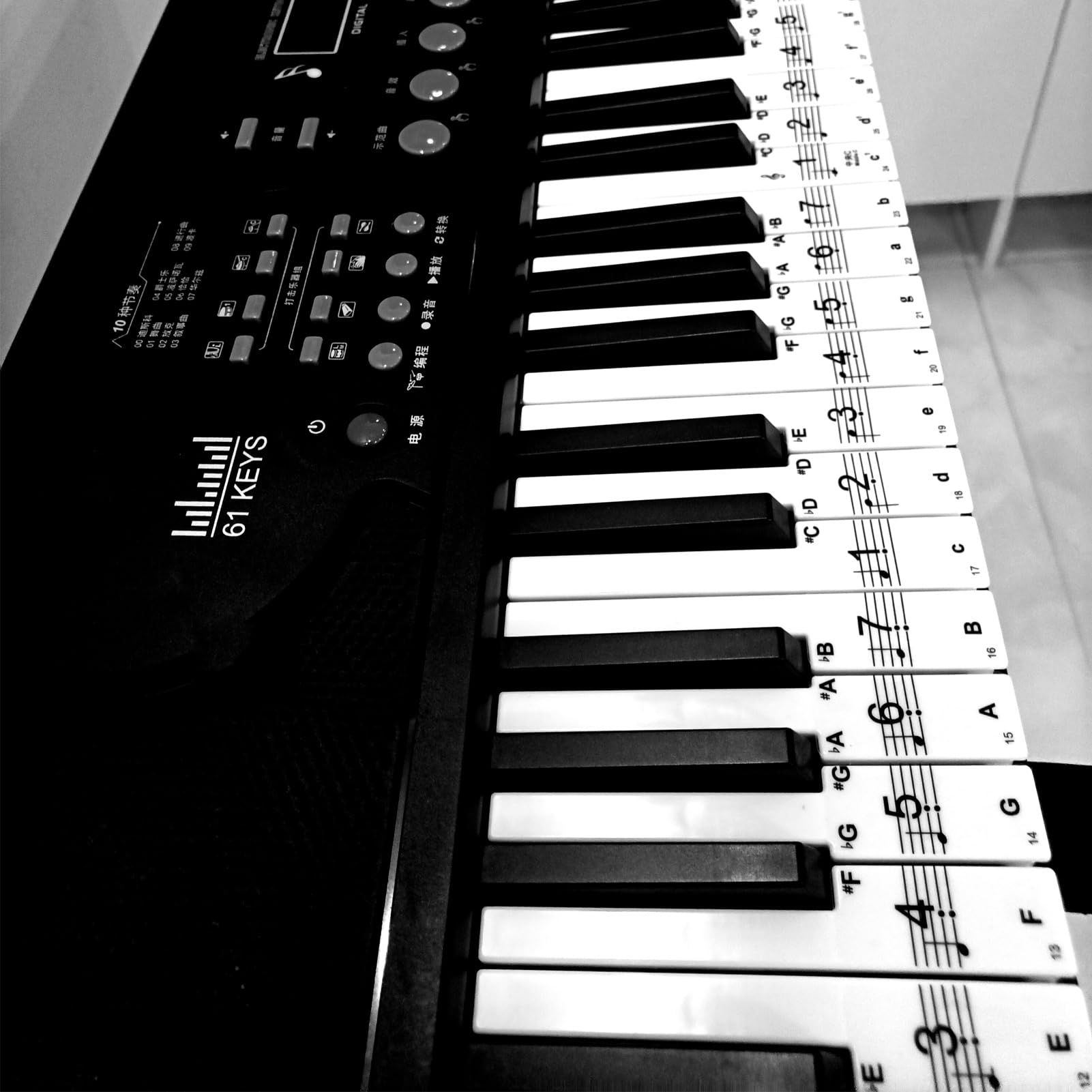 Piano Keyboard Stickers Static-Electricity Piano Stickers Perfect for Kids Learning Piano, Transparent and Removable โ image 4