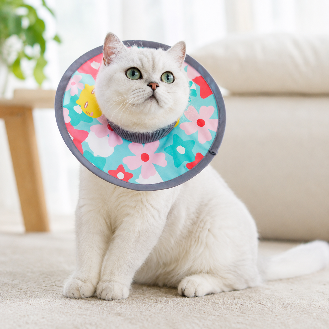 Colorful Flower Soft Waterproof Elizabethan Collar for Cats & Dogs L Size - Adjustable Anti-Licking Recovery Cone After Surgery — image 3