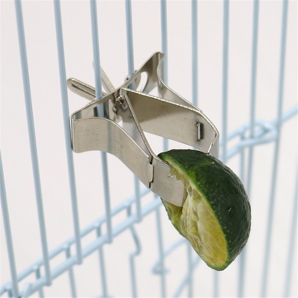 6 pcs Stainless Steel Clips Pet Feeder Bird Food Holder Parrot Cage Supplies Pet Supply Cuttlebone Clamp Clamps Birds Cage Food Clip Parrot Fixed Birdcage โ image 2