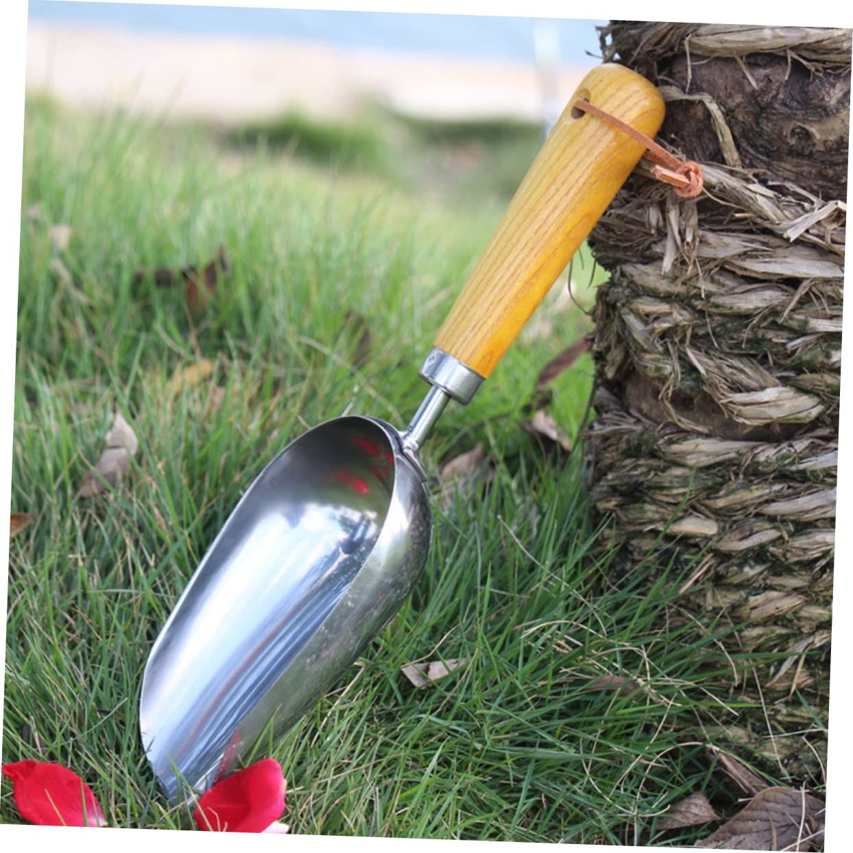1pc Houseplants Ice Scoop for Freezer Stainless Steel Gardening Scoop Indoor Plant Succulent Planting Indoor Garden Tools Garden โ image 5