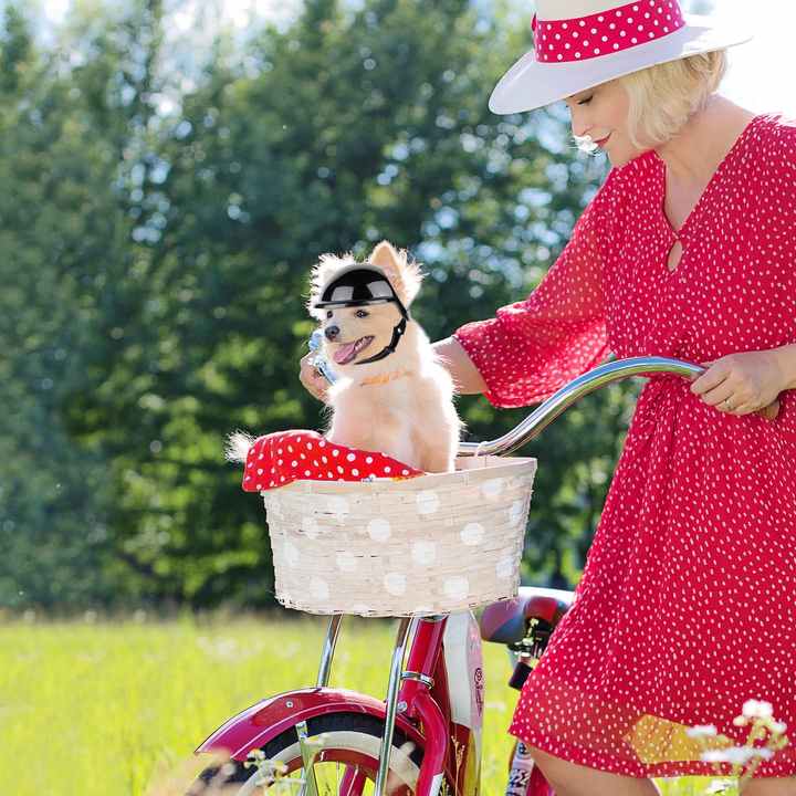 Size S Black Pet Safety Helmet – Stylish Protective Headgear for Dogs — image 6
