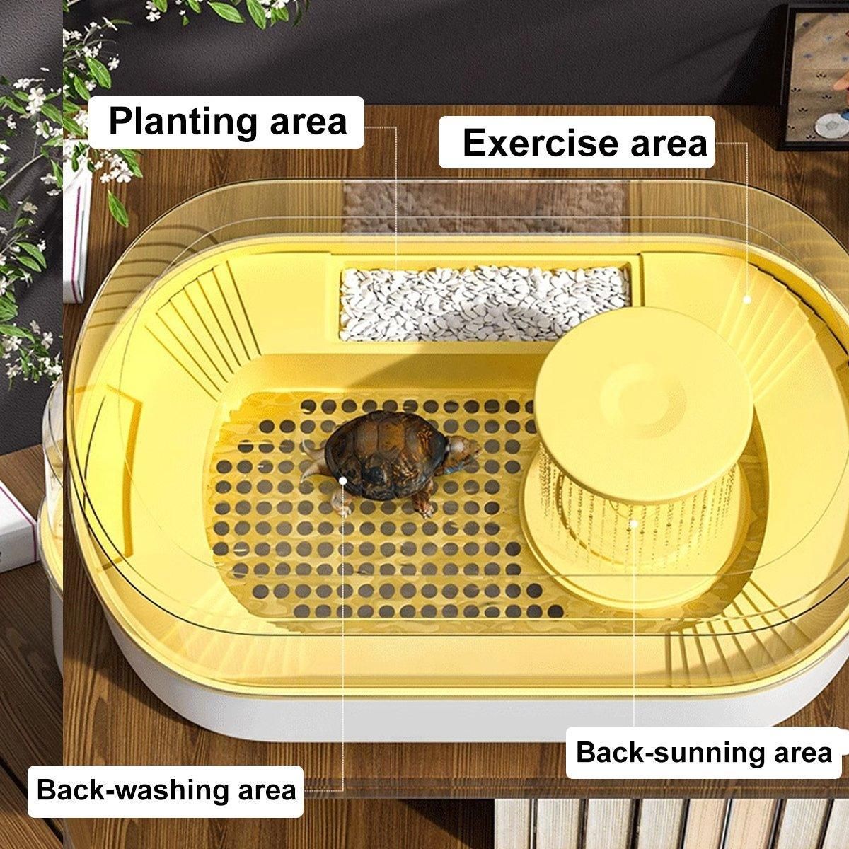 Small Turtle Feeding Tank Basin Aquarium Feeding Box for Turtles Reptiles - Green — image 5