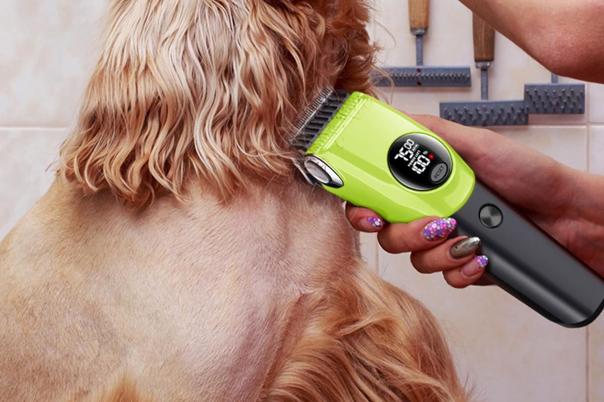 Dog Clipper Low Noise Dog Grooming Kit Rechargeable 3-Speed With LCD Display for Dogs Cats Pets — image 4