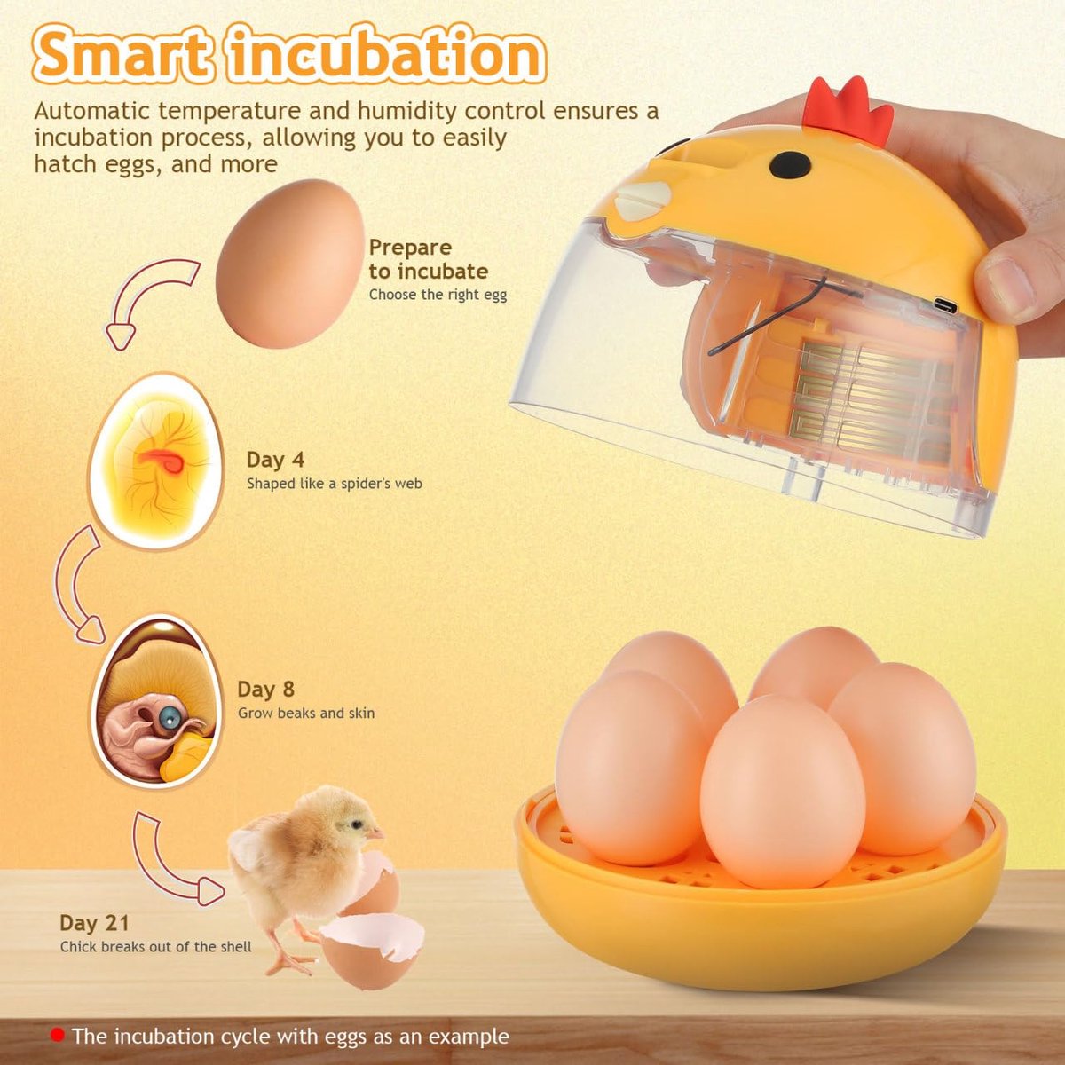 Incubator - Egg incubator | Incubator with a capacity of 4 eggs - with automatic temperature and humidity control - suitable for hatching eggs of โ image 4
