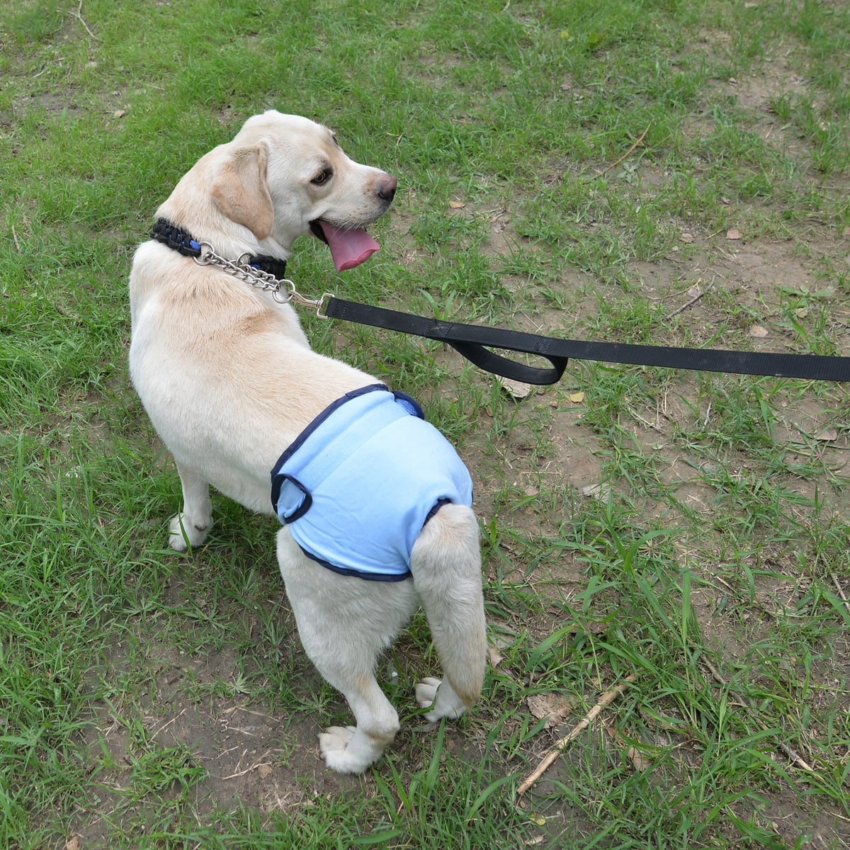 Comfortable Dog Underwear Dog Diapers Pants Male Female to Put On/Off Breathable Physiological Pants Reusable Sanitary Panties for Small to Large Dogs Pet — image 5