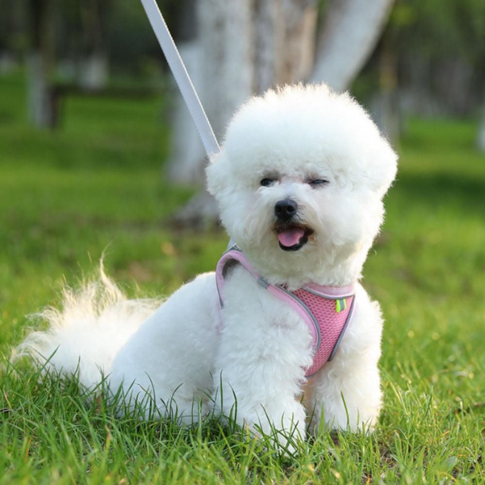 Pet Cat Harness and Leash Set Breathable Vest with Reflective Strip for Kitten Walking Traveling Pink โ image 3