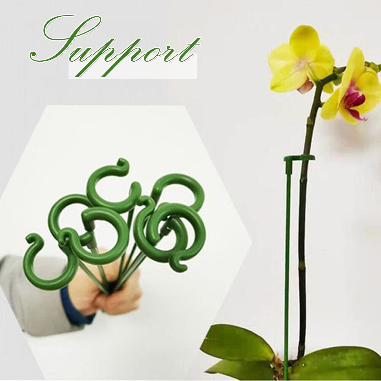10 pcs Plant Support Stakes, Single Stem Plant Support Stakes Steel Garden Stakes for Plant Flower Orchid, Lily, Peony, Rose — image 2