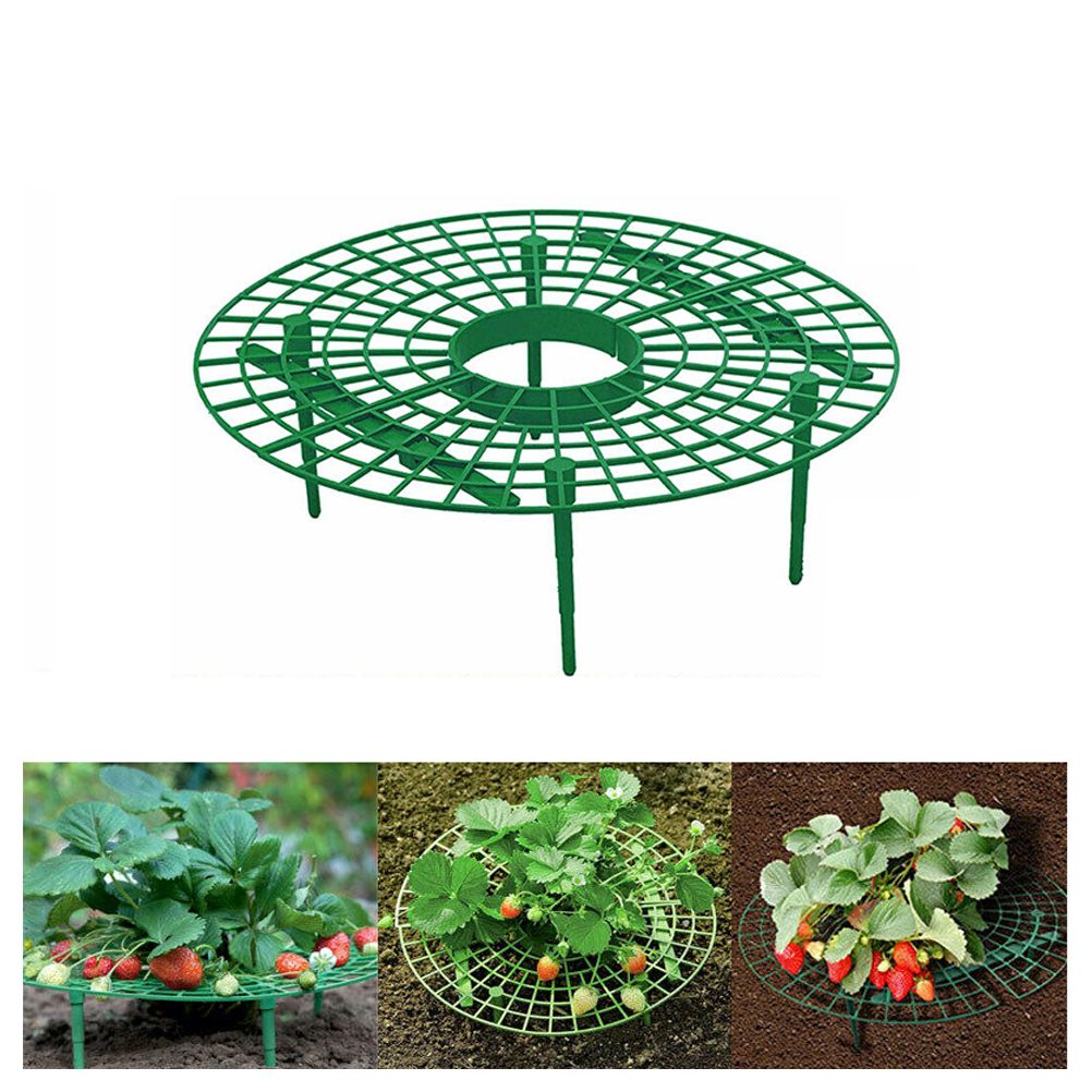 Strawberry Growing Support Practical Strawberry Rack Plant Climbing Vine Stand — image 5
