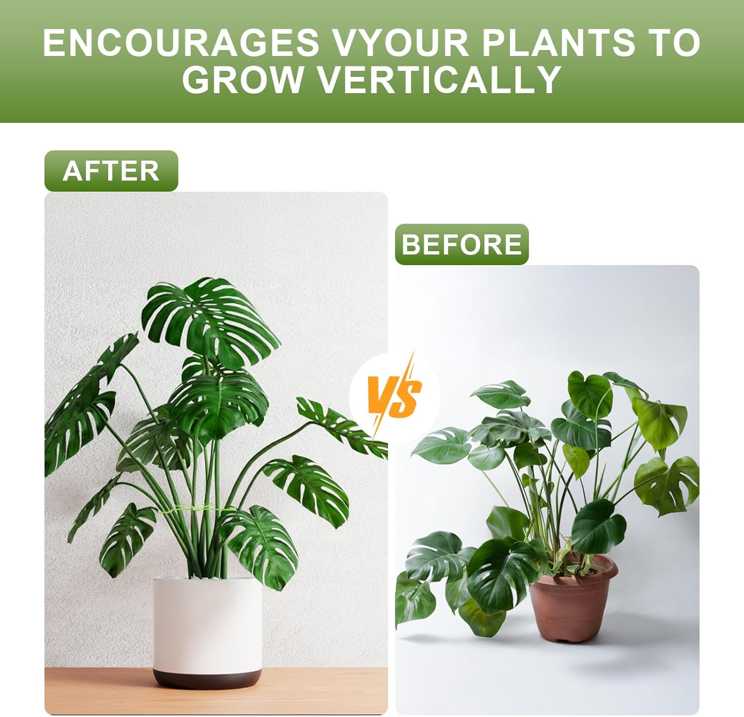 16 Pack Indoor Plant Stakes 4 Sizes 4 of Each Size Green Plant Supports for Tall Plants Monstera Plant Anchors Plant Fixing Hooks Suitable for Indoor Gardens — image 4