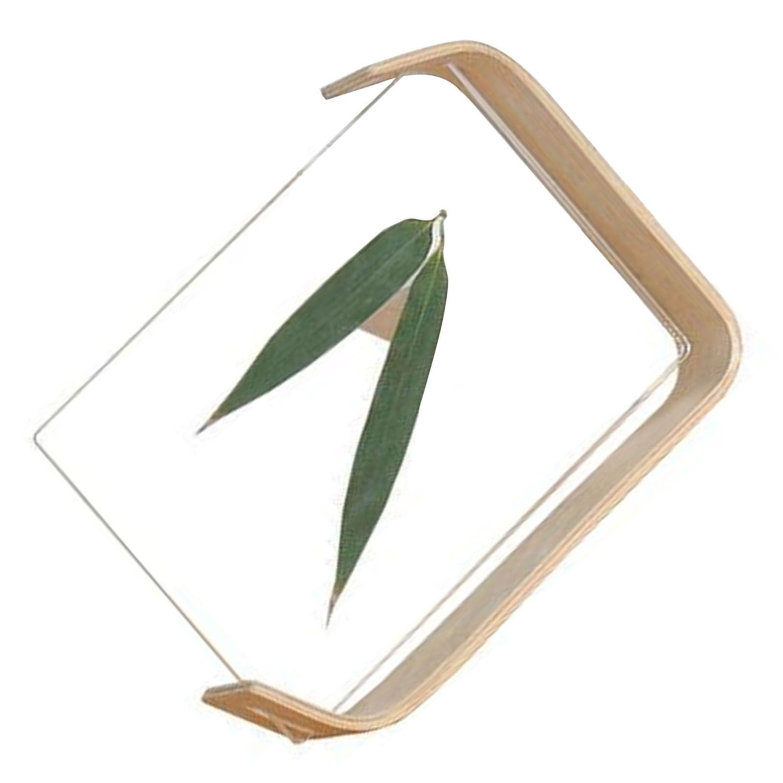 Desktop Plant Specimen Frame Wooden Acrylic Simple Modern Photo Frame Desktop Ornament Home Decoration — image 4