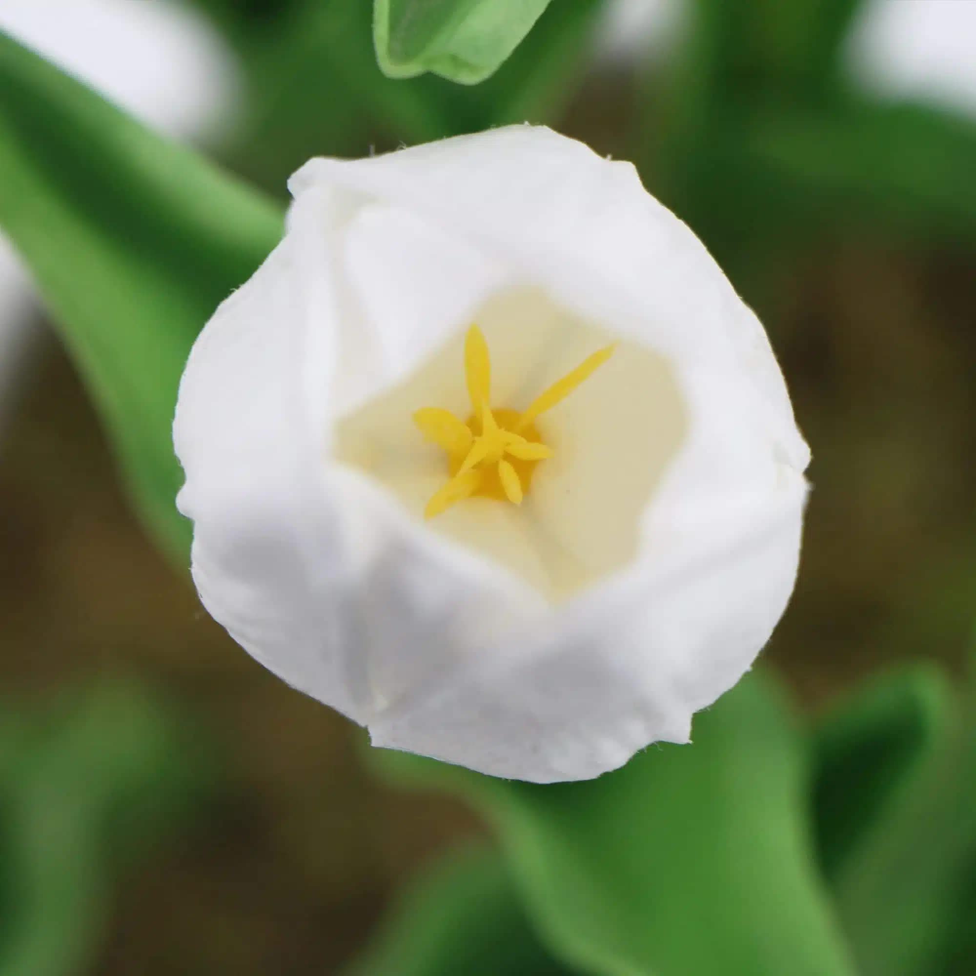 Flowering White Artificial Tulip Plant Arrangement With Ceramic Bowl 35cm โ image 4