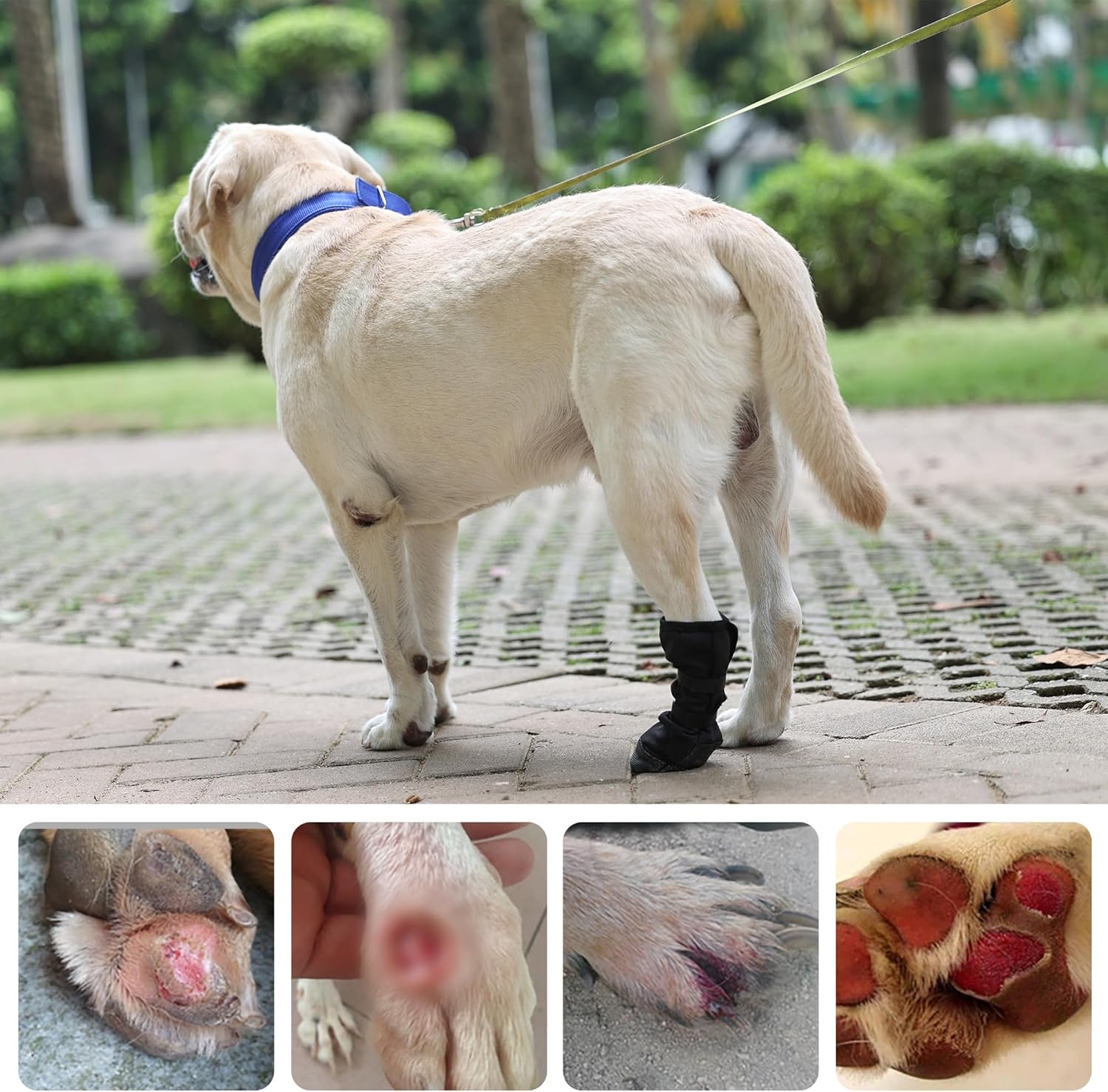 Dog Paw Wound Recovery Boot, Breathable Dog Bootie for Injured Paw, Anti-Slip Dog Shoe with Self-Adhesive Strap, Dog Paw Protector for Outdoor Walking & Keep — image 6