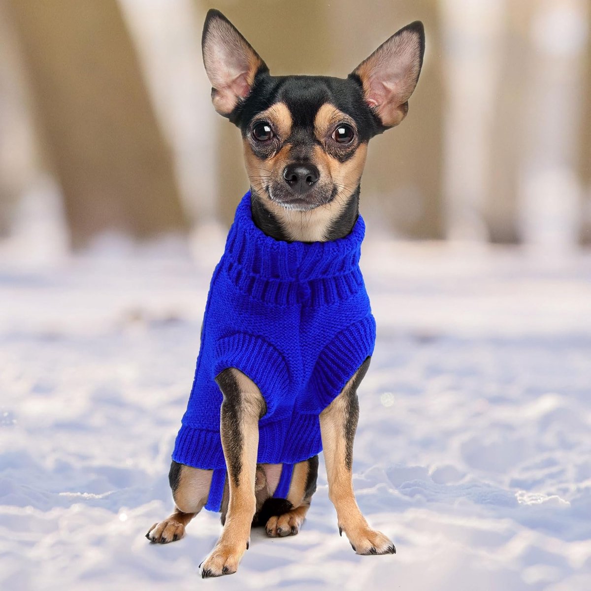 Dog Coat - Dog Sweater - Small Dog Sweater - Warm Dog Coat - Warm Puppy Sweater - Thick Knit Winter Sweater - Soft Roll Neck Sweater - Perfect for Small Dogs — image 5
