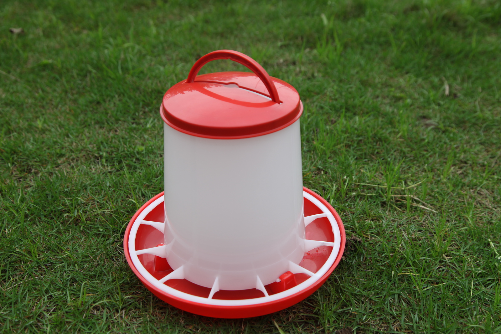 YES4PETS Farm Poultry Bird Chicken Water Drinker 3 L & 3 kg Food Grain Seed Feeder Set โ image 2