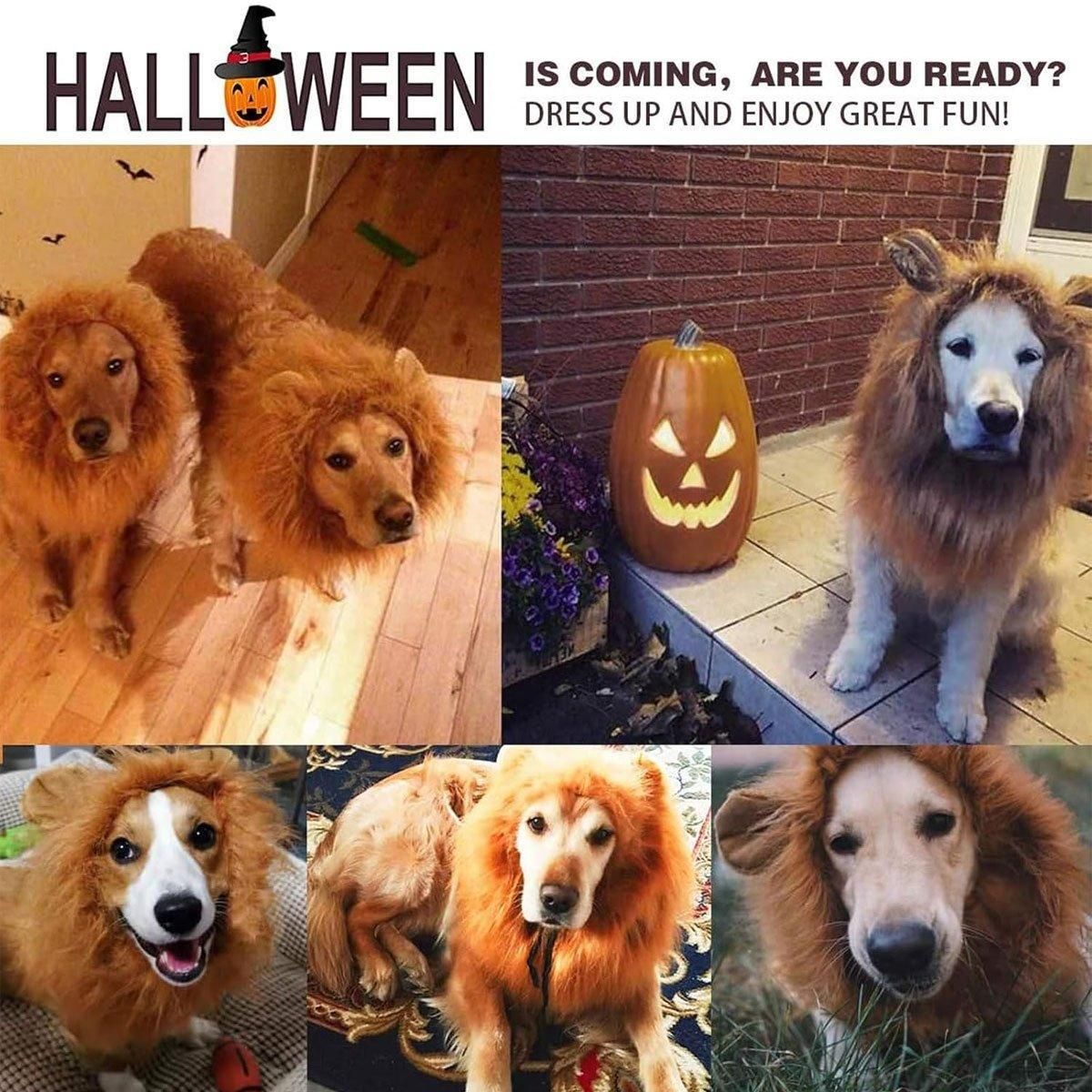 Lion Costume Mane Wig Large Dog Fancy Dress Up Party for Pet Halloween Clothes - Light Brown-S โ image 6