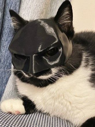Fashion Pet Cat Mask, Festive Decor For Halloween And Christmas Outfit, Pink — image 2