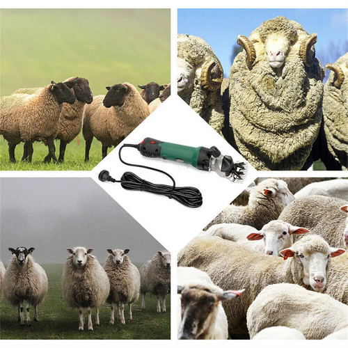 690W Electric Sheep Shears 2400R/Min 6 Speed Grooming Kit with 8 Grids Heat AU — image 6