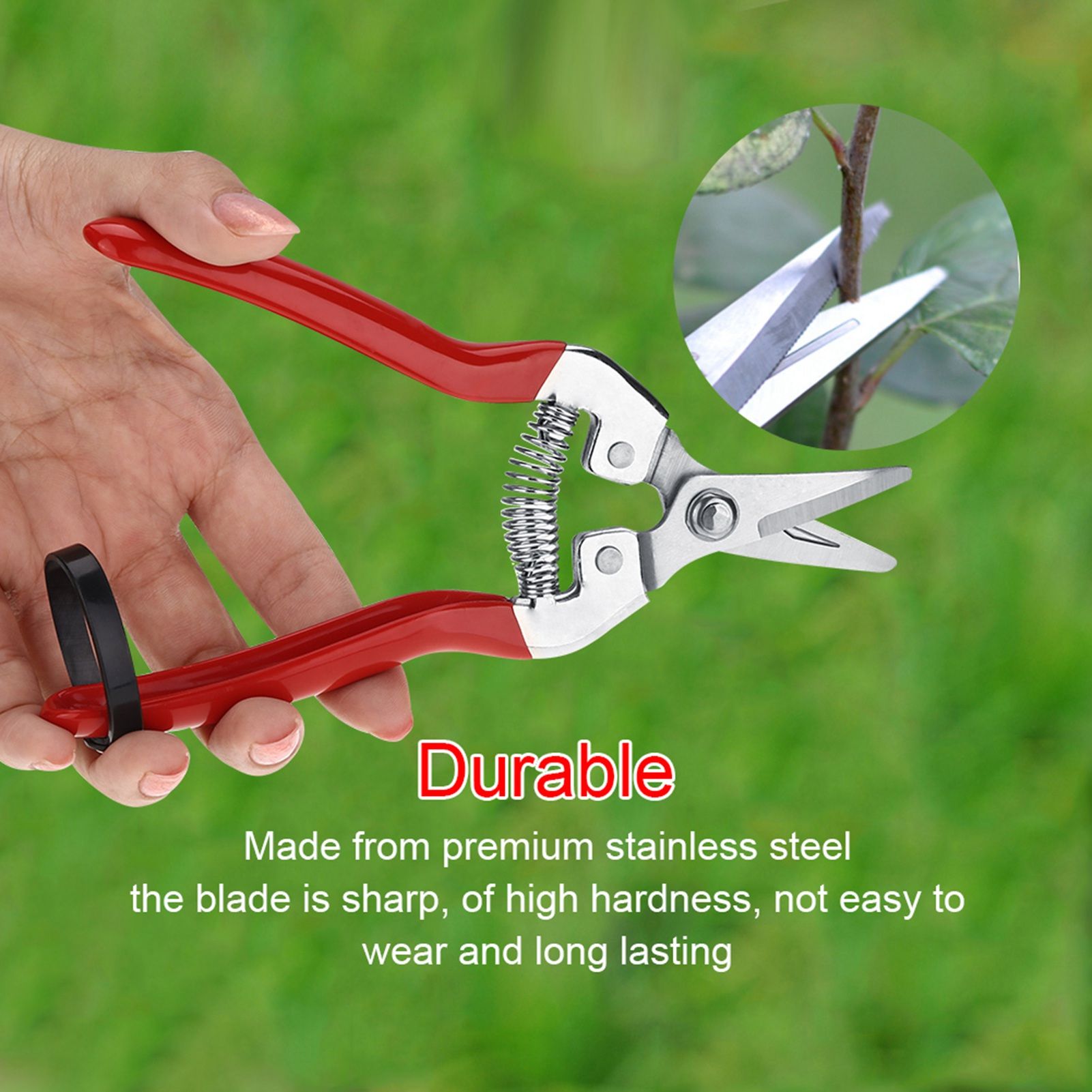 1Pc Sturdy Fruit Tree Bonsai Gardening Pruning Shear Garden Scissors Pruner Tool Curved Blade โ image 2