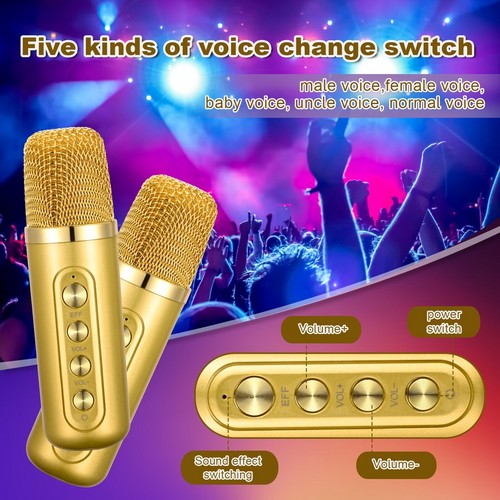 Gold Karaoke Machine with 2 Wireless Microphones Bluetooth-Compatible 5.0 for Parties — image 3