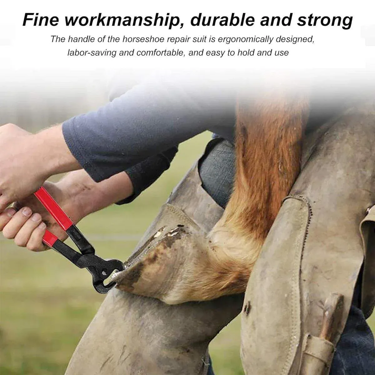 14 Inch Shoe Repair Tool Set Pliers Knife File Horseshoe Shear Hoof Trimming Kit — image 5
