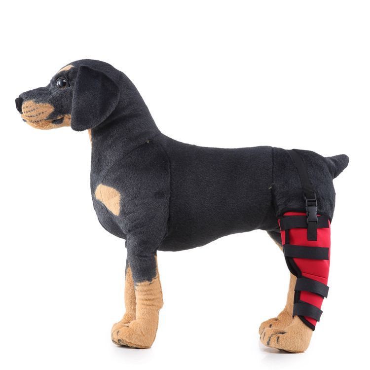 Dog Hind Left Leg Brace for Surgery Recovery, Puppy Rear Leg Protector with Stable Support, Prevents Licking Chewing Wounds, Aids Post-Op Recovery