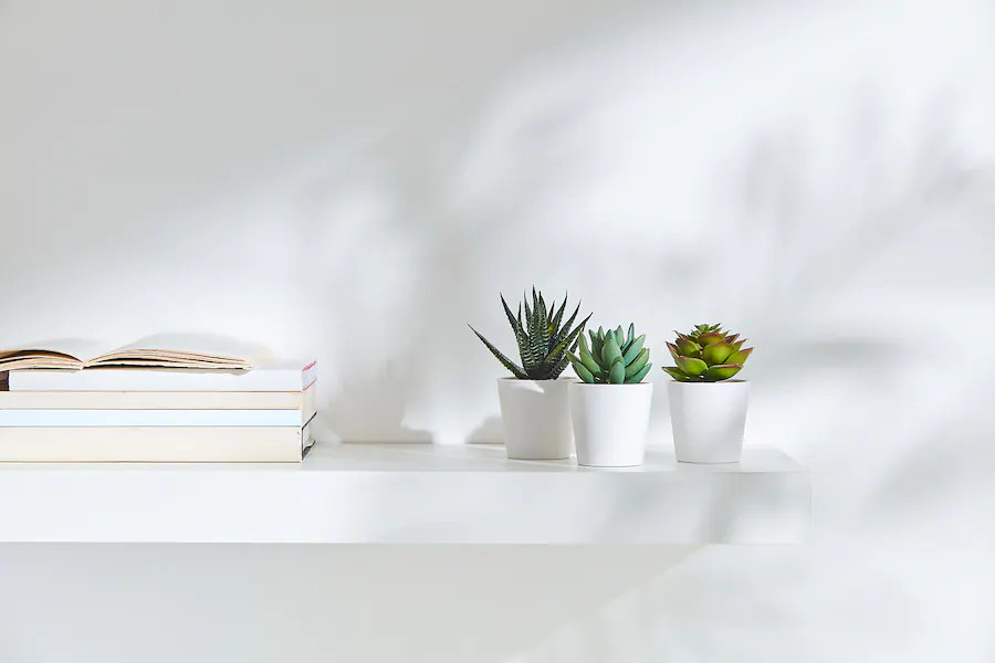 3 Pack of Artificial Succulent Potted Plants in White Plastic 6cm Pot Interior Decoration โ image 4