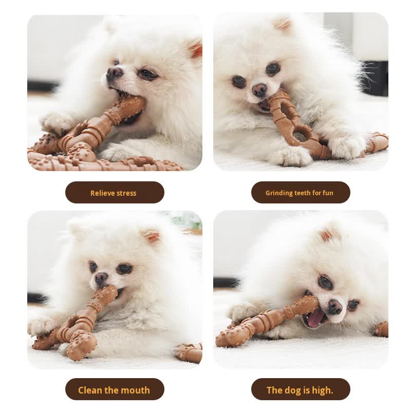 Trigeminal bone Durable Dog Chew Toy for Dental Health - Tough, Non-Toxic Teething Bone for Small & Medium Dogs — image 2