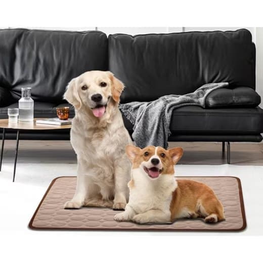 Cooling Mat for Dogs and Cats, Breathable, Multiple Colors, Compatible with All Breeds, 62 × 50cm — image 3