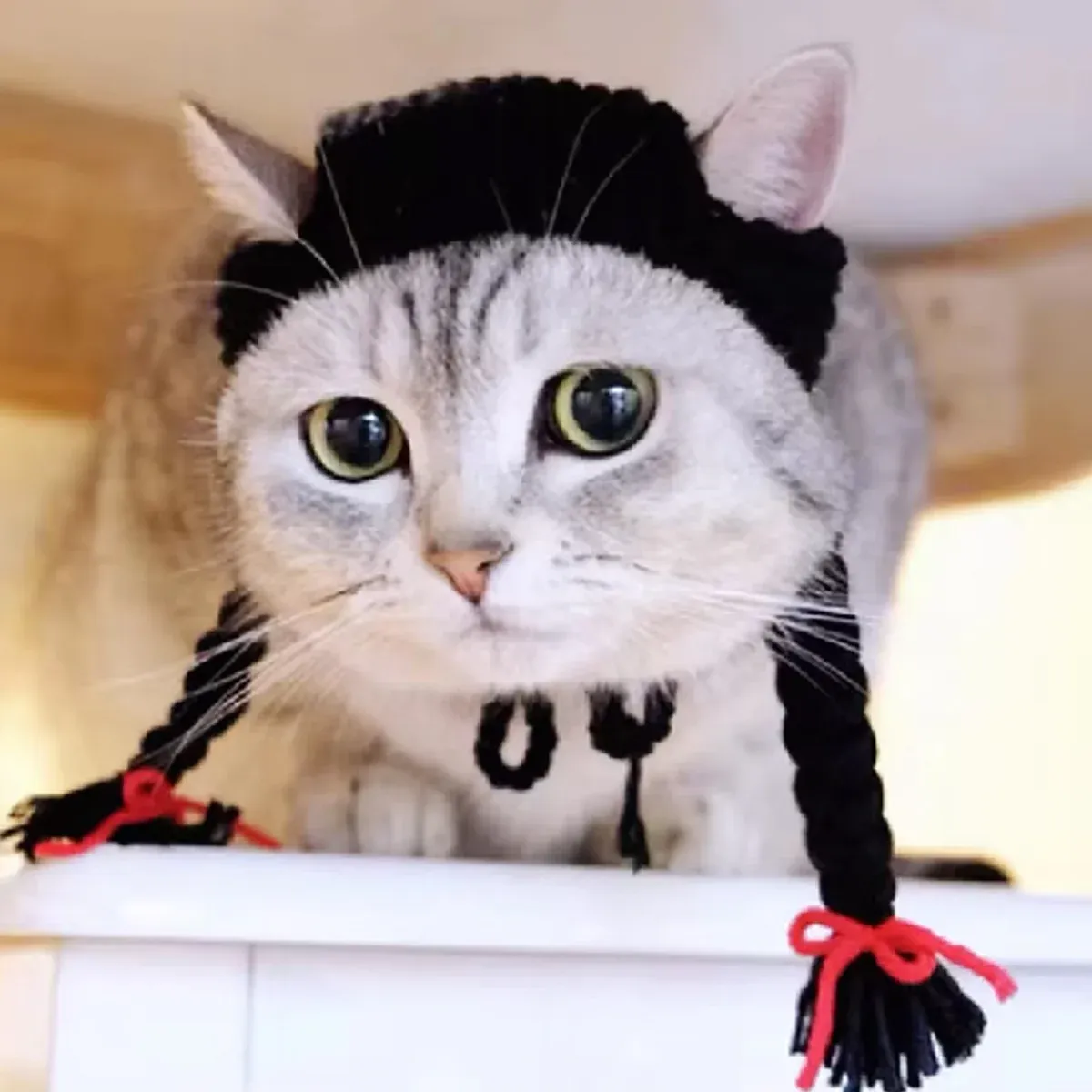 Cat Headwear Handmade Braid Hat Cat Wig Hat Cat Hair Accessory Pet Decoration - Yellow — image 6