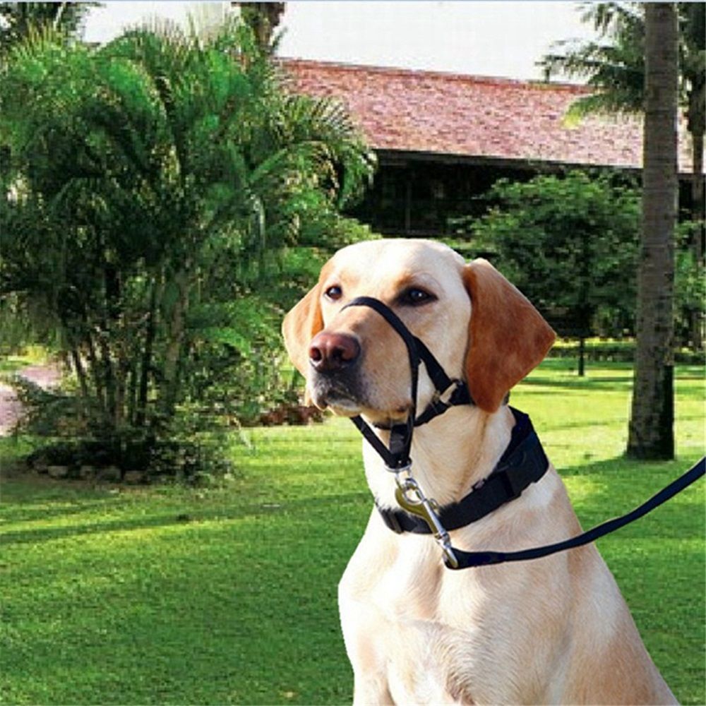 No-Pull Dog Headcollar for Large Dogs (Agressive/Reactive Dogs; Instant Stop Pulling; Gentle Training Collar for Dogs; Comfortable, Safe, and Effective — image 2