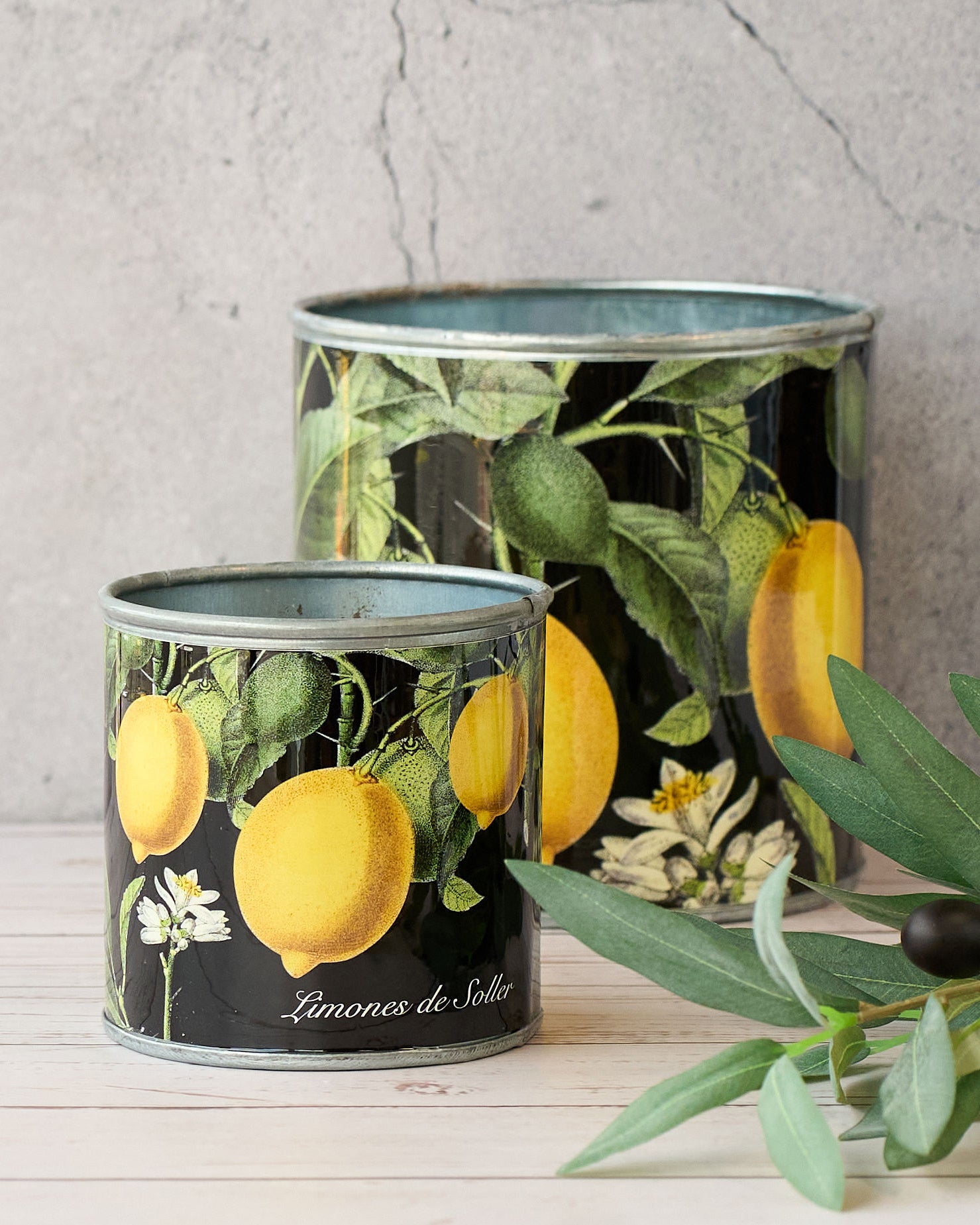 tin-planter-lemons-set-of-4 โ image 3