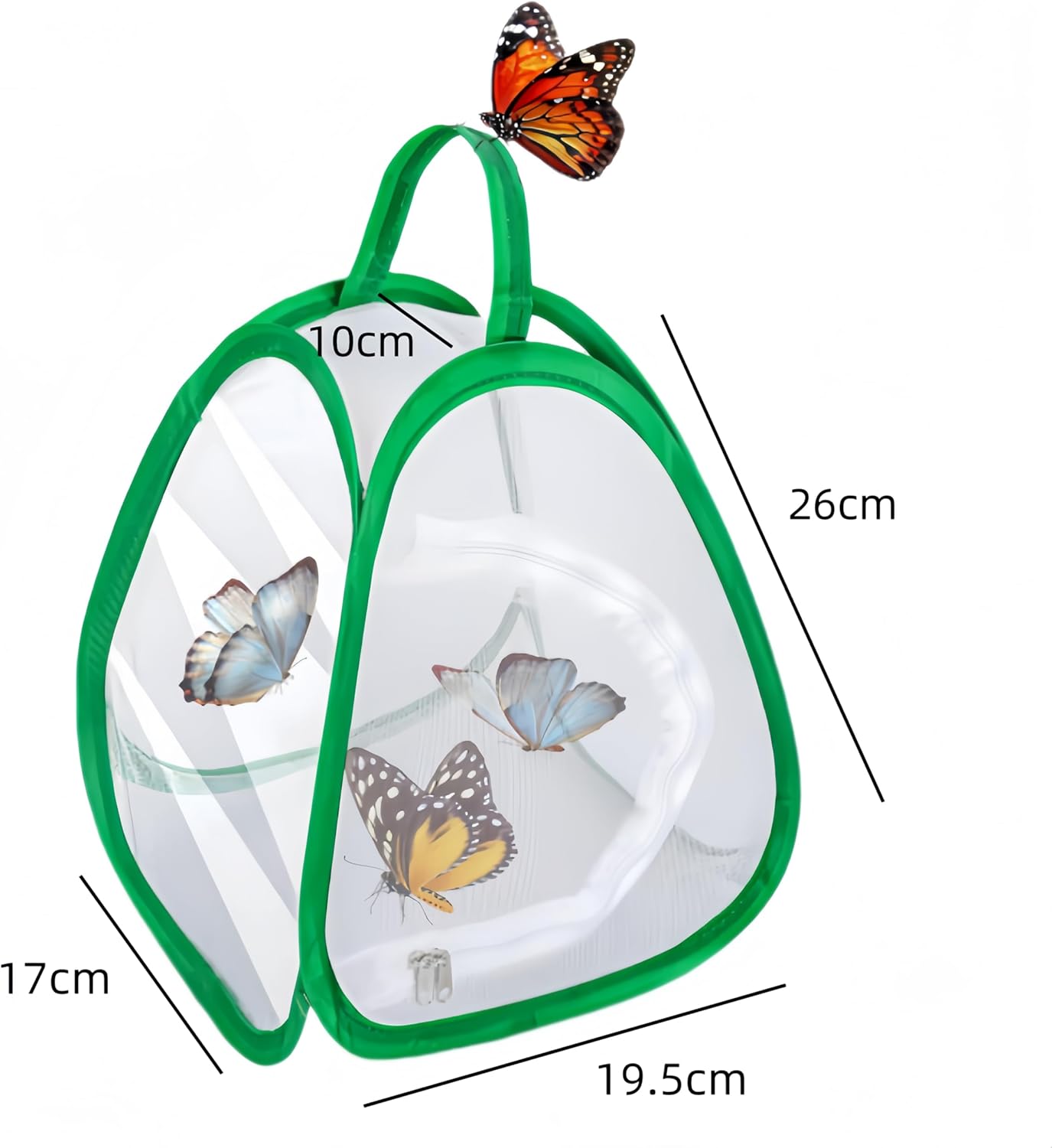2 Pack Mini Butterfly Habitat Cage- 23 x 25.5 x 21CM, Butterfly Net, Collapsible Insect Mesh Cage- Portable Butterfly Net Habitat with Zipper for Transporting โ image 2