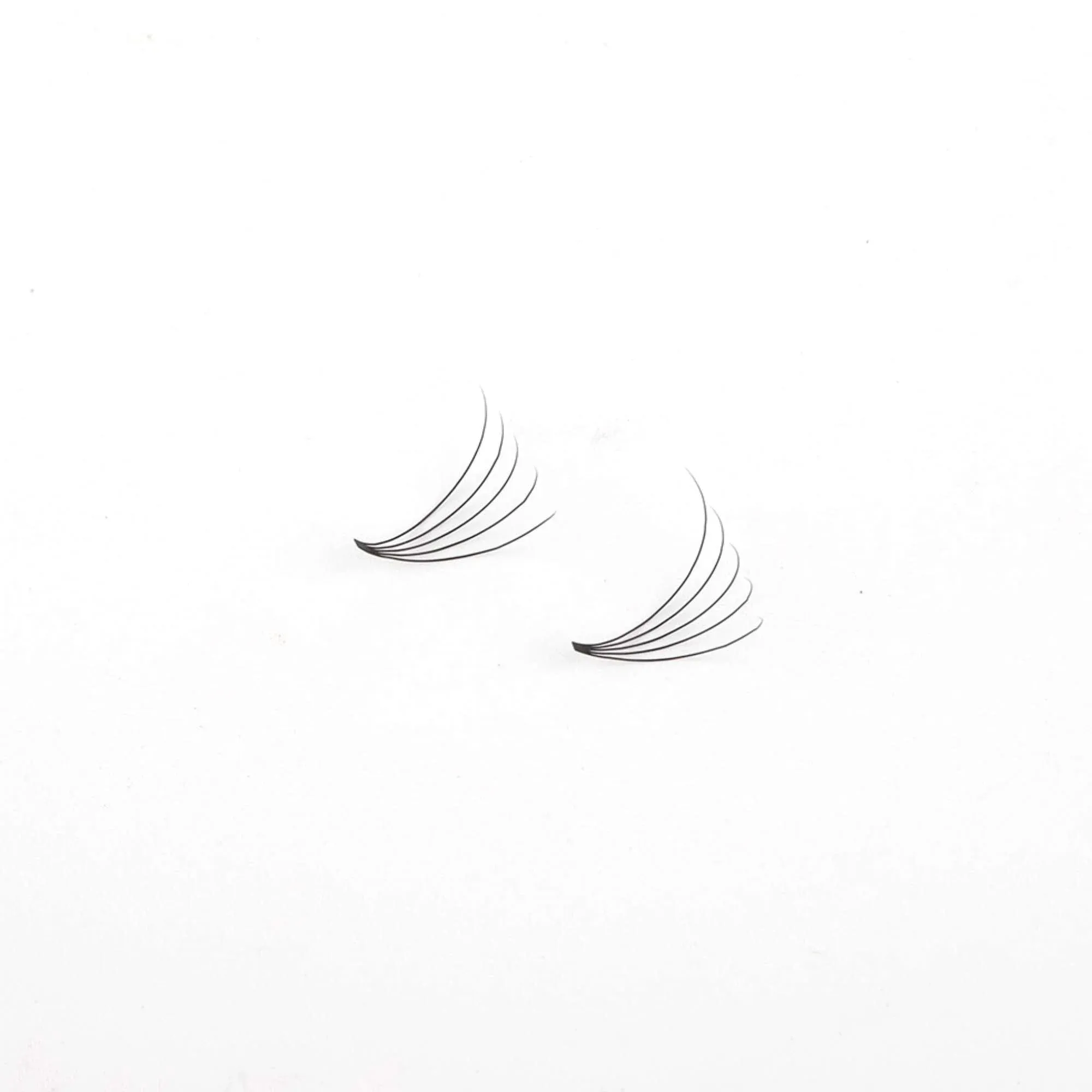Miosh Eyelash Extensions - 5D Premade Volume Short Stem Eye Lash 0.10 / D CURL โ image 2