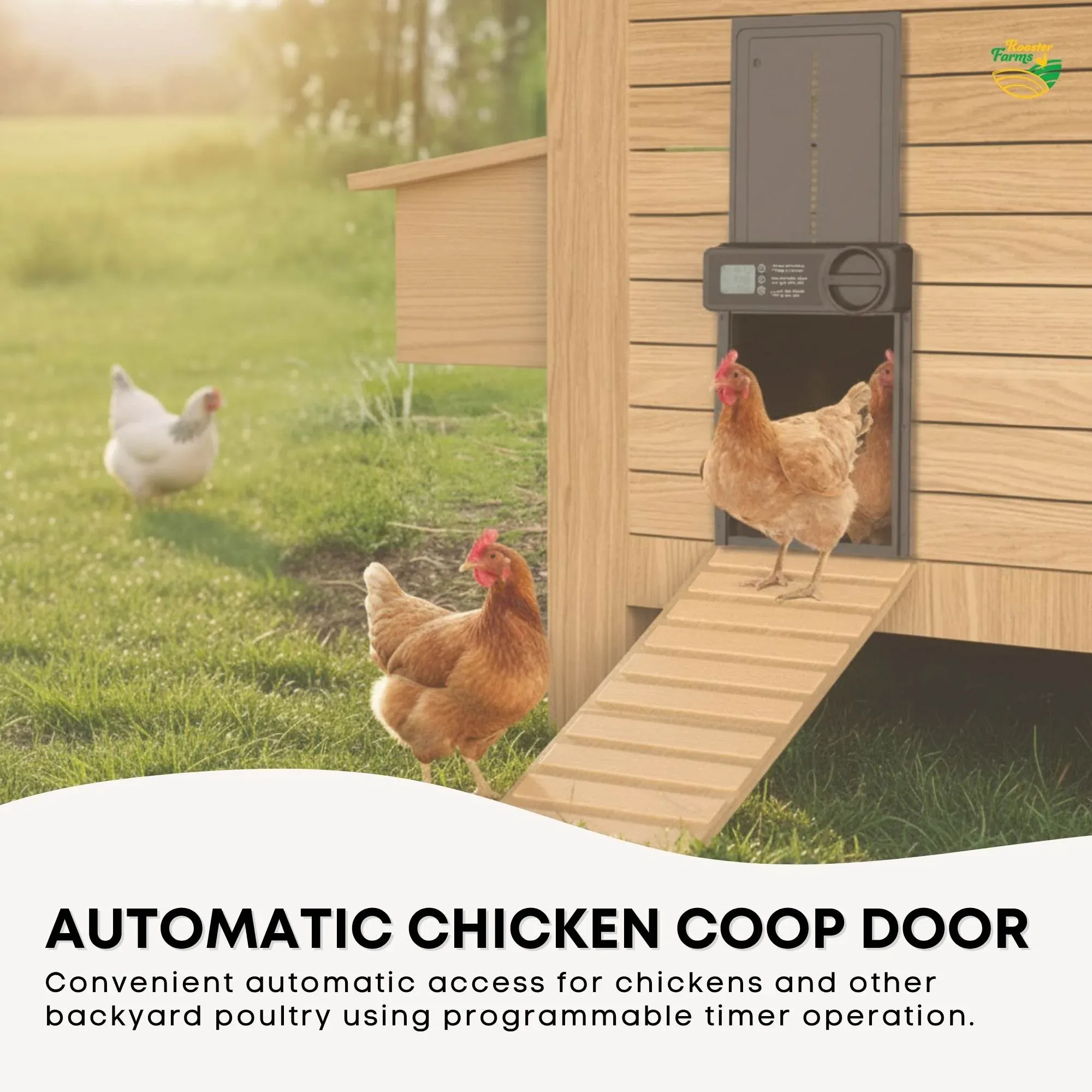 Rooster Farms Automatic Chicken Coop Door - Battery Timer Anti Pinch Safety — image 2