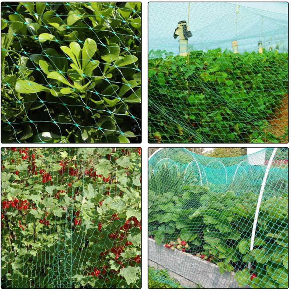 Bird Netting for Garden (2×10m) Garden Netting Pest Barrier,Cicada Netting Protect Fruit Trees Blueberry Bushes Vegetable Plant — image 3