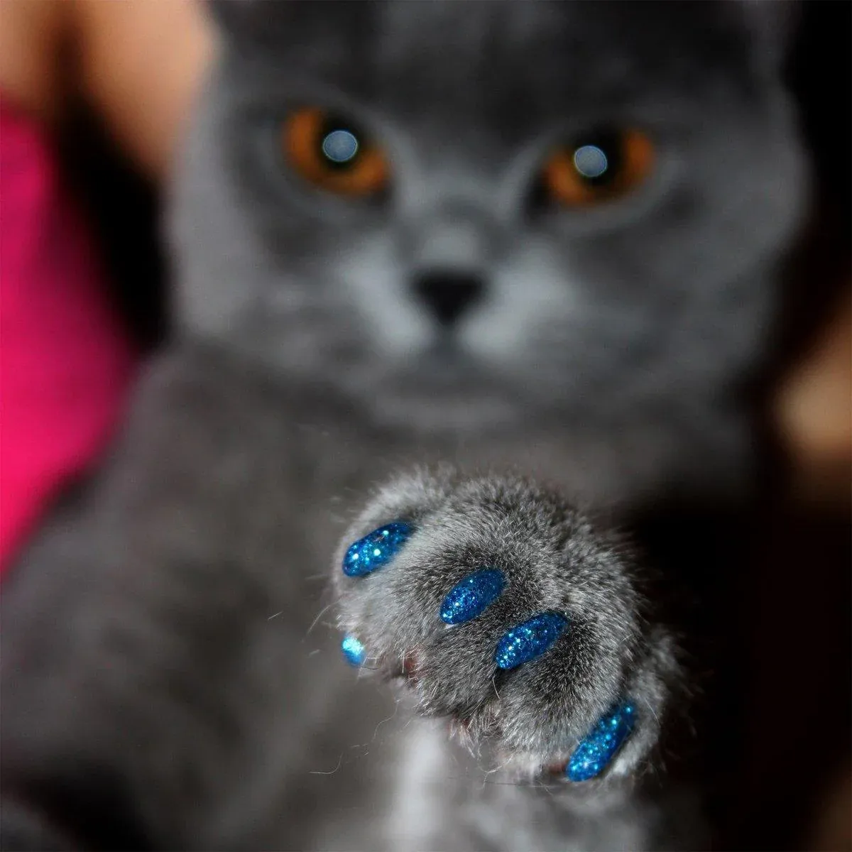 100PCS Anti Scratch Paw Covers for Cats and Kittens Nail Protector Soft Paw - Flat-S — image 6