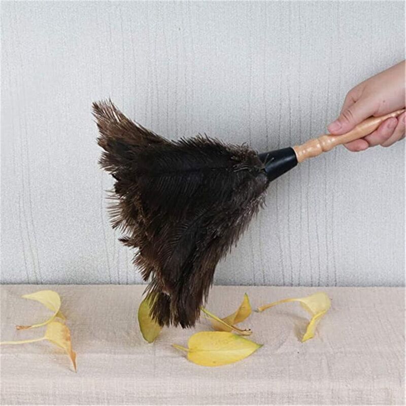 Feather Dusters for Home and Office — image 4