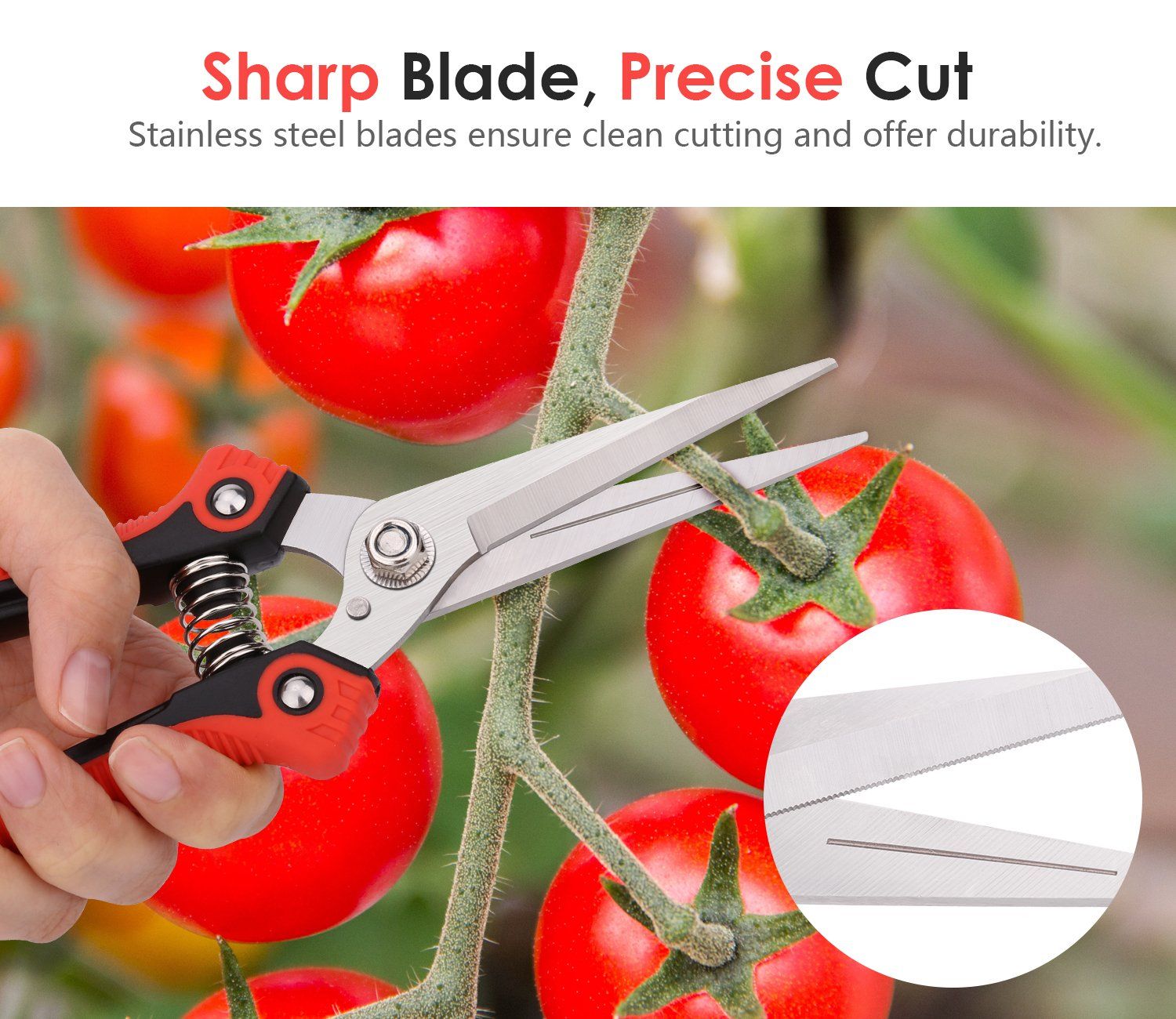 Steel Ultra Sharp Multi-purpose Hand Pruner Scissors for Garden Harvesting Fruits Vegetables Trimming Pklants Flowers, Black & Red โ image 3