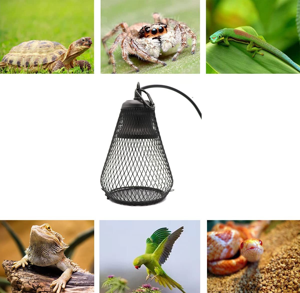 Reptile Heat Lamp, Ceramic Heat Lamps with Thermostat, for Bearded Dragon, Lizard, Tortoise, Snake,75W โ image 5