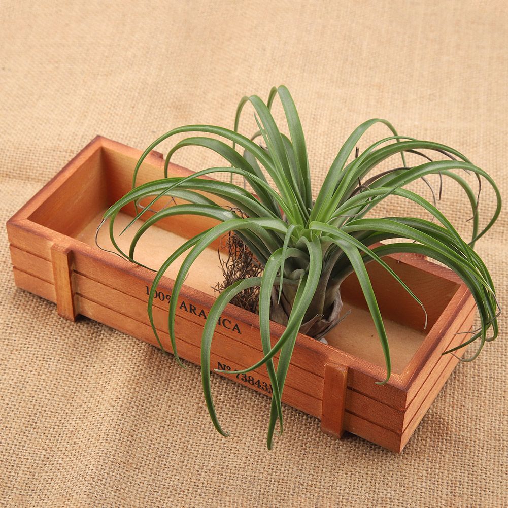 Vintage Wood Flower Planter Succulent Pot Rectangle Box for Home Desktop Storage Tray โ image 3