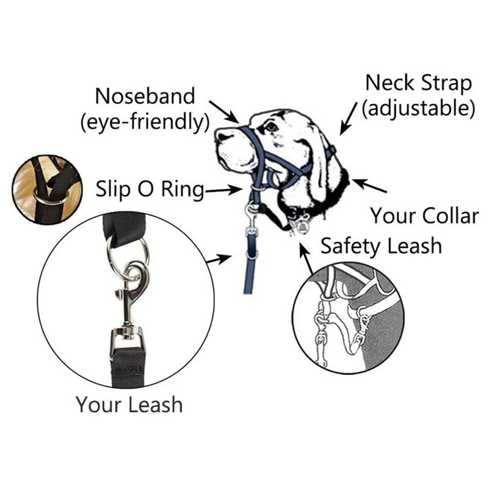 No-Pull Dog Headcollar for Large Dogs (Agressive/Reactive Dogs; Instant Stop Pulling; Gentle Training Collar for Dogs; Comfortable, Safe, and Effective — image 4