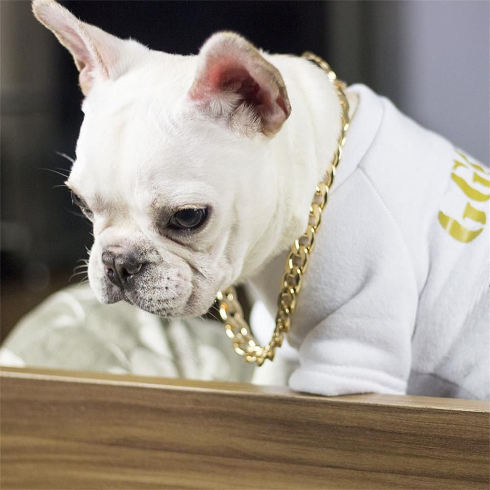 Dog Chain Pet Dog Metal Gold Collar Necklace Pet Jewelry Accessories for Four Seasons — image 6