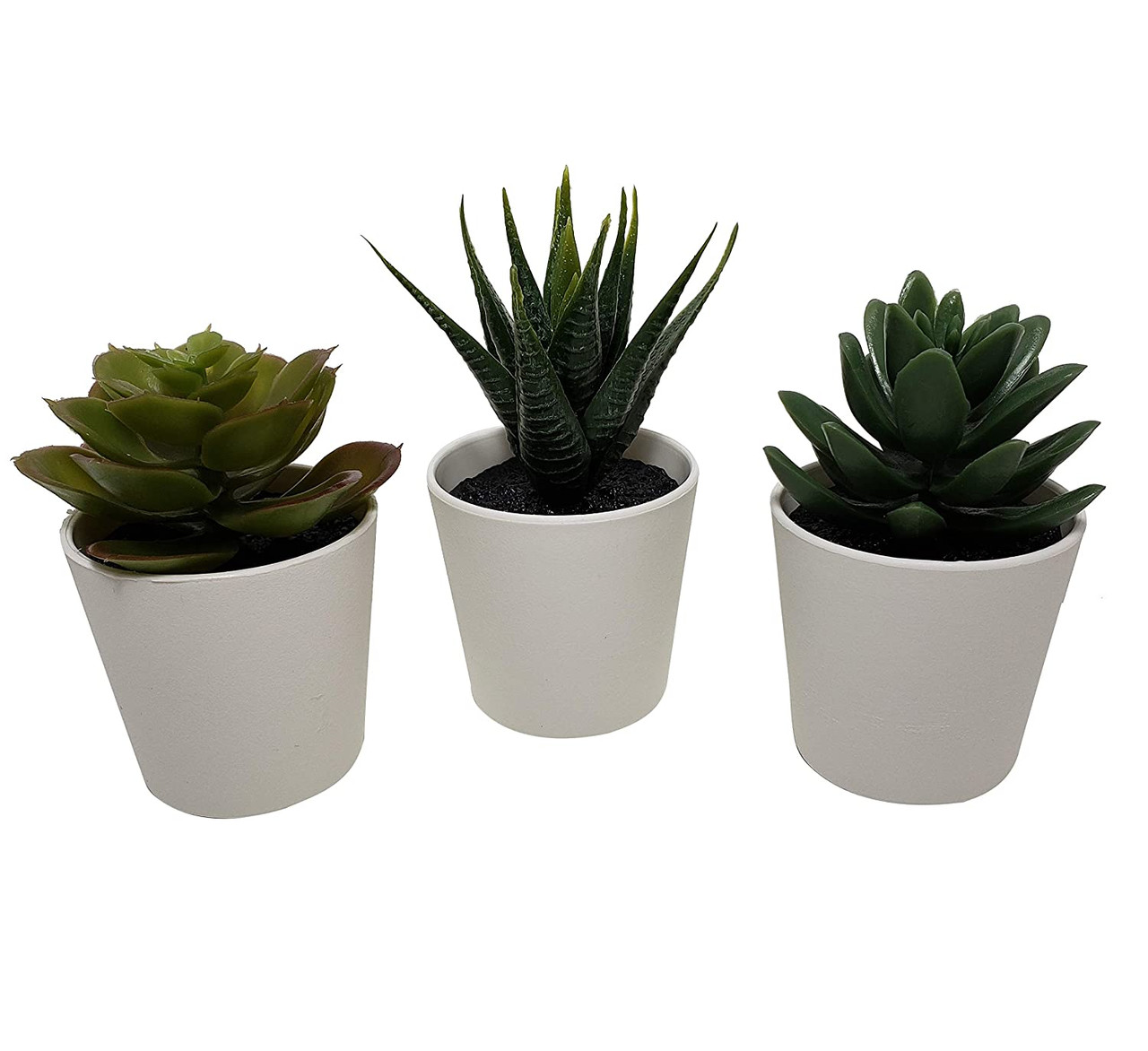 3 Pack of Artificial Succulent Potted Plants in White Plastic 6cm Pot Interior Decoration โ image 6