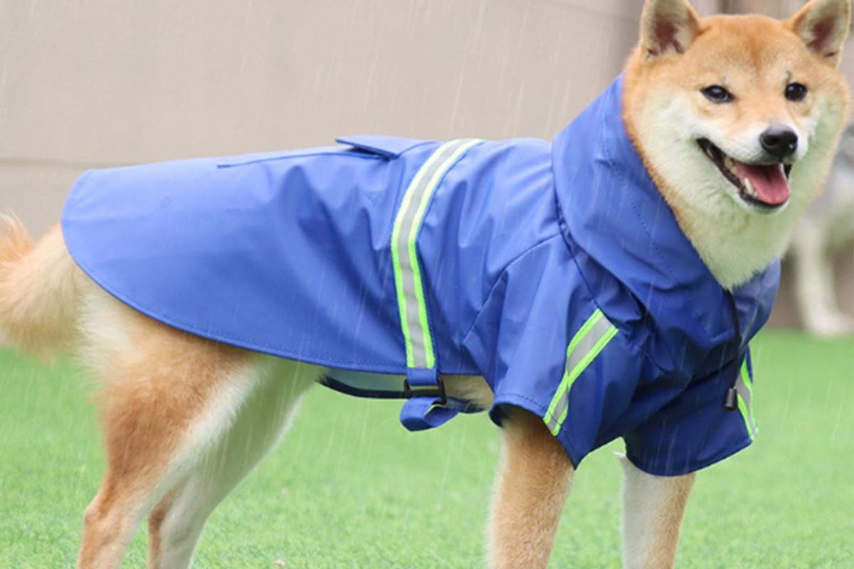 Pet Raincoat Outdoor Waterproof Dog Poncho for Small and Medium Dogs - Blue โ image 2