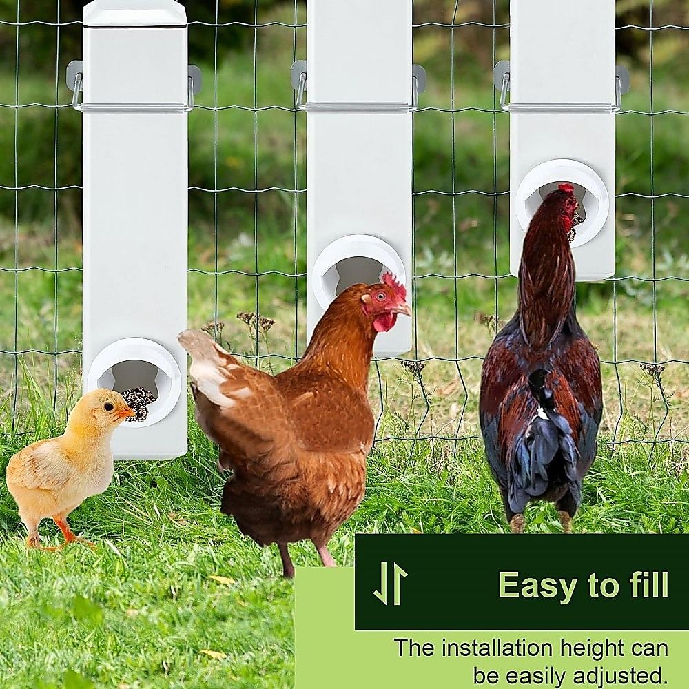 Chicken Bird Feeder Water Dispenser Automatic Waterer Poultry Food Drinker 4L โ image 6