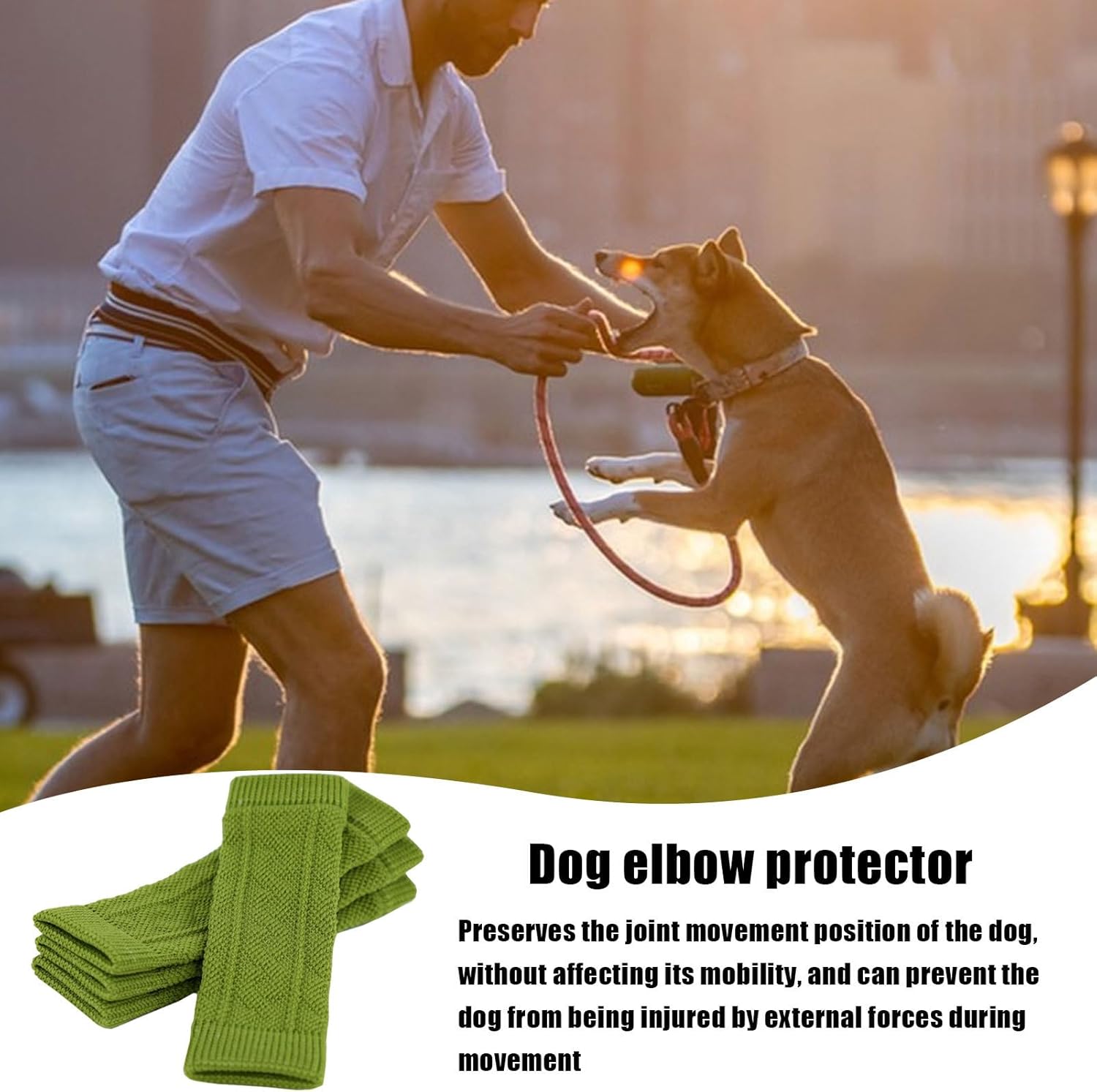 Dog Wound with Skin Friendly — image 4