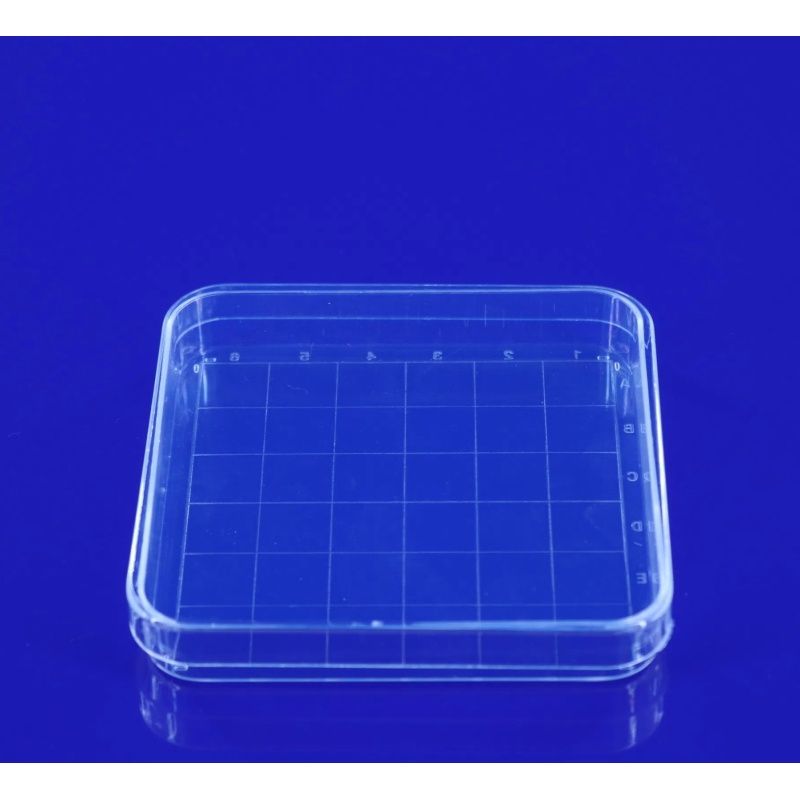 10pcs transparent Rectangular Plastic Petri Dish 100mmx100mm Pipettes for Culturing Cells and Other Scientific — image 5