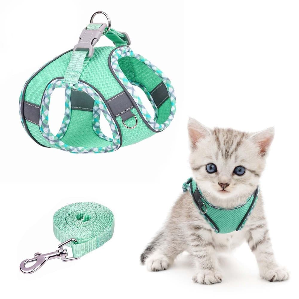 Adjustable Dog and Cat Harness with Leash, Reflective Soft Secure Fit, XXS, Green