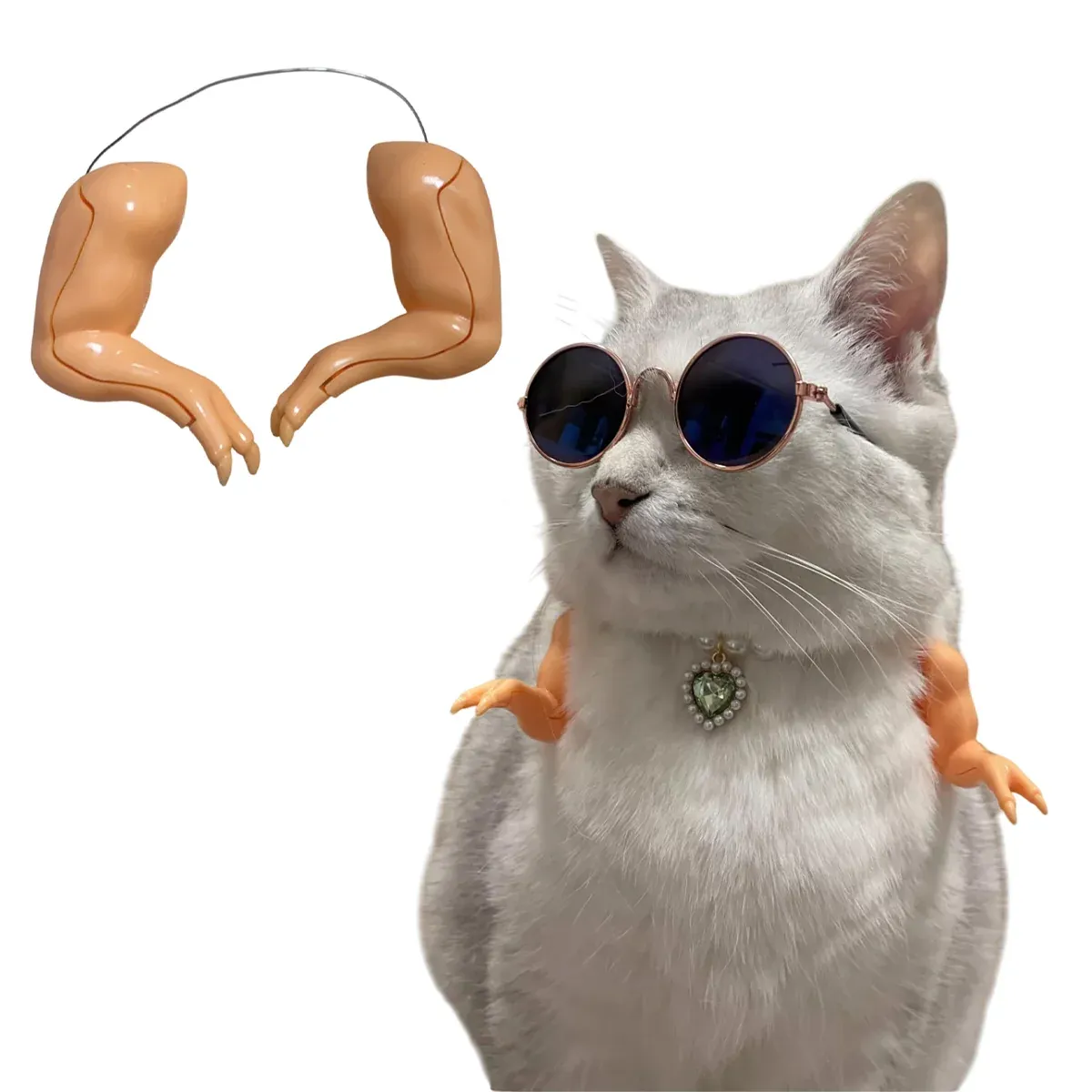 Chicken Arm Decoration Forelimb Dinosaur Spoof Pet Prop Cute Cosplay Photo Tool — image 6
