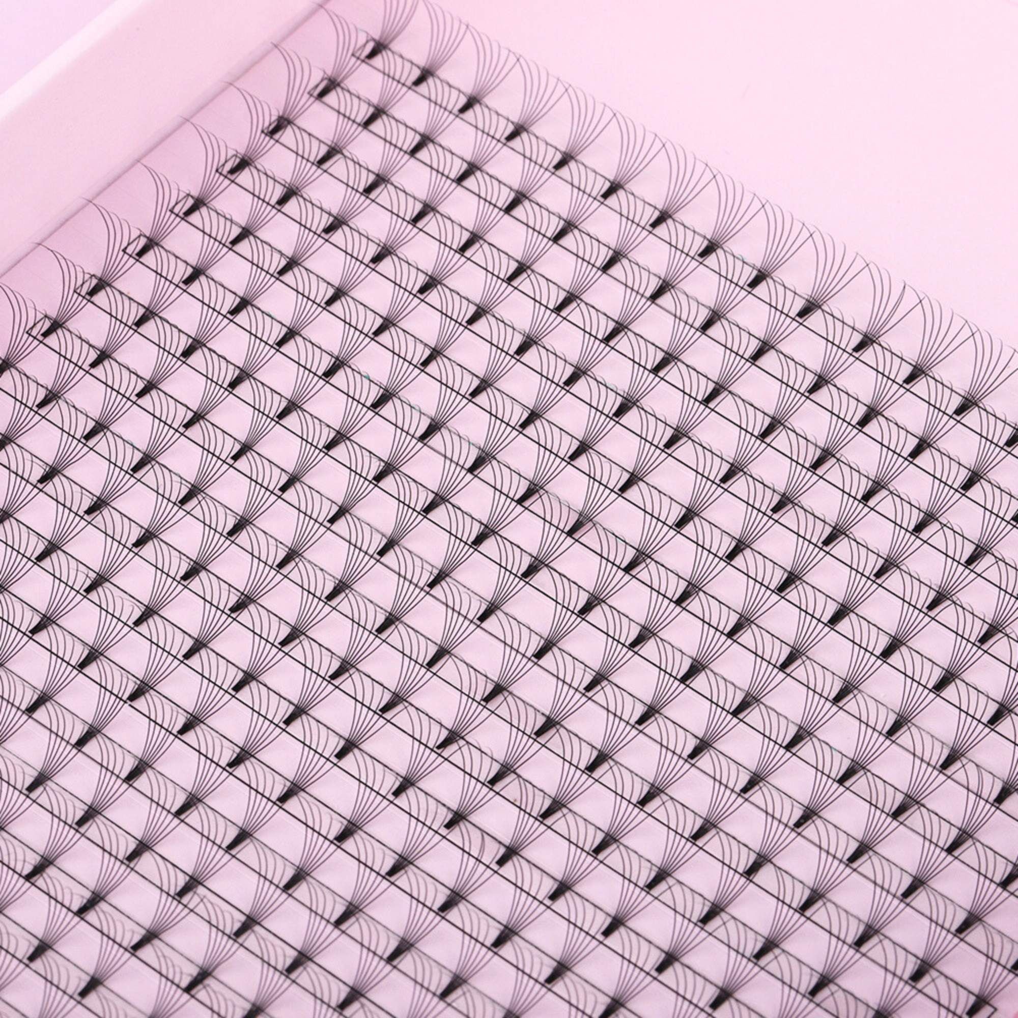 Miosh Eyelash Extensions - XL 6D Premade Volume Short Stem Lash 0.07 / D CURL โ image 3